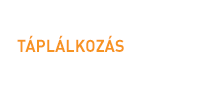 A kihívás ikonja